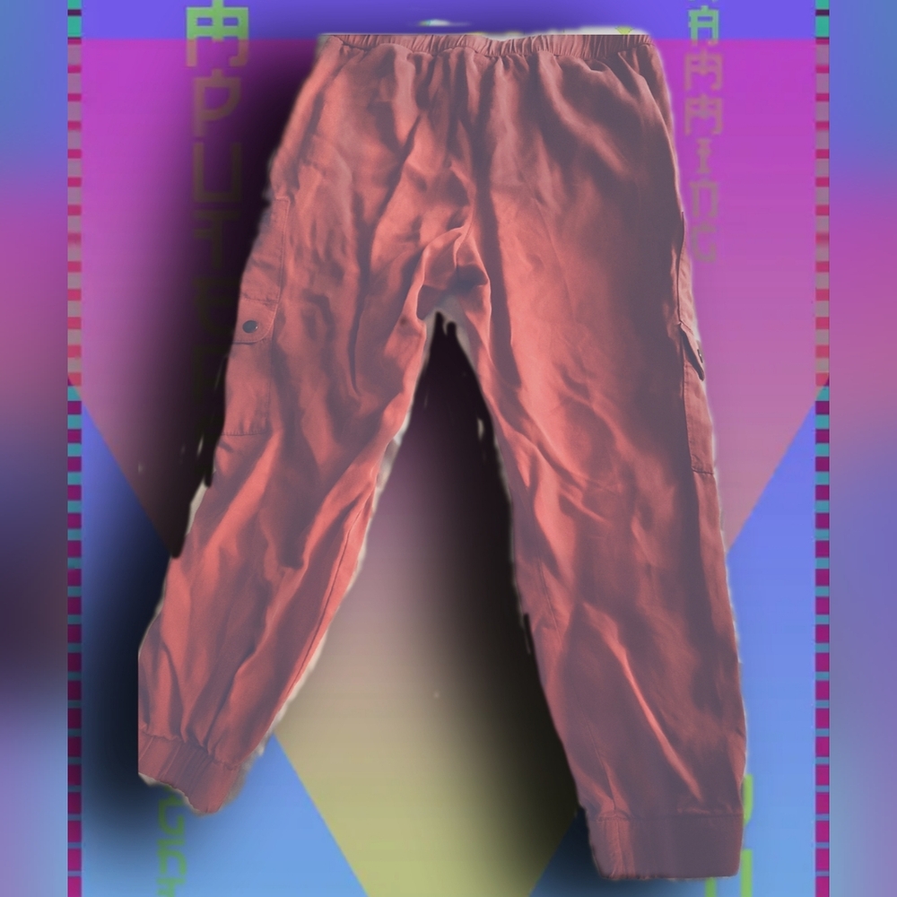 Excellent Condition Cargo Pants
